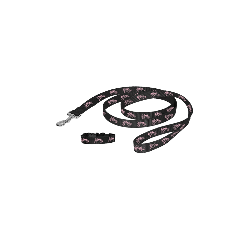 The Puppy Leash/Collar