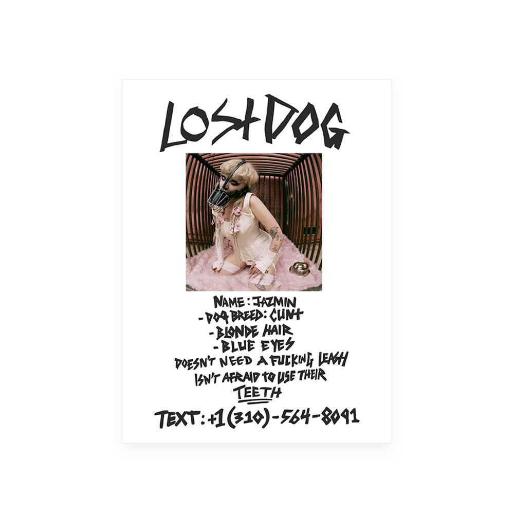 Lost Dog Litho Poster